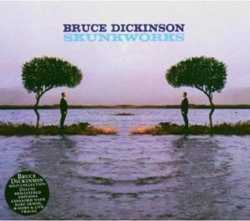 Bruce dickinson skunkworks - dickinson,