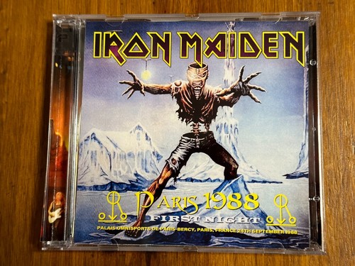 Iron maiden paris night france - night,