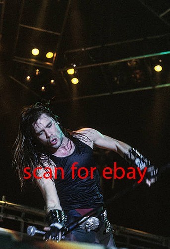 Iron maiden bruce - maiden, dickinson